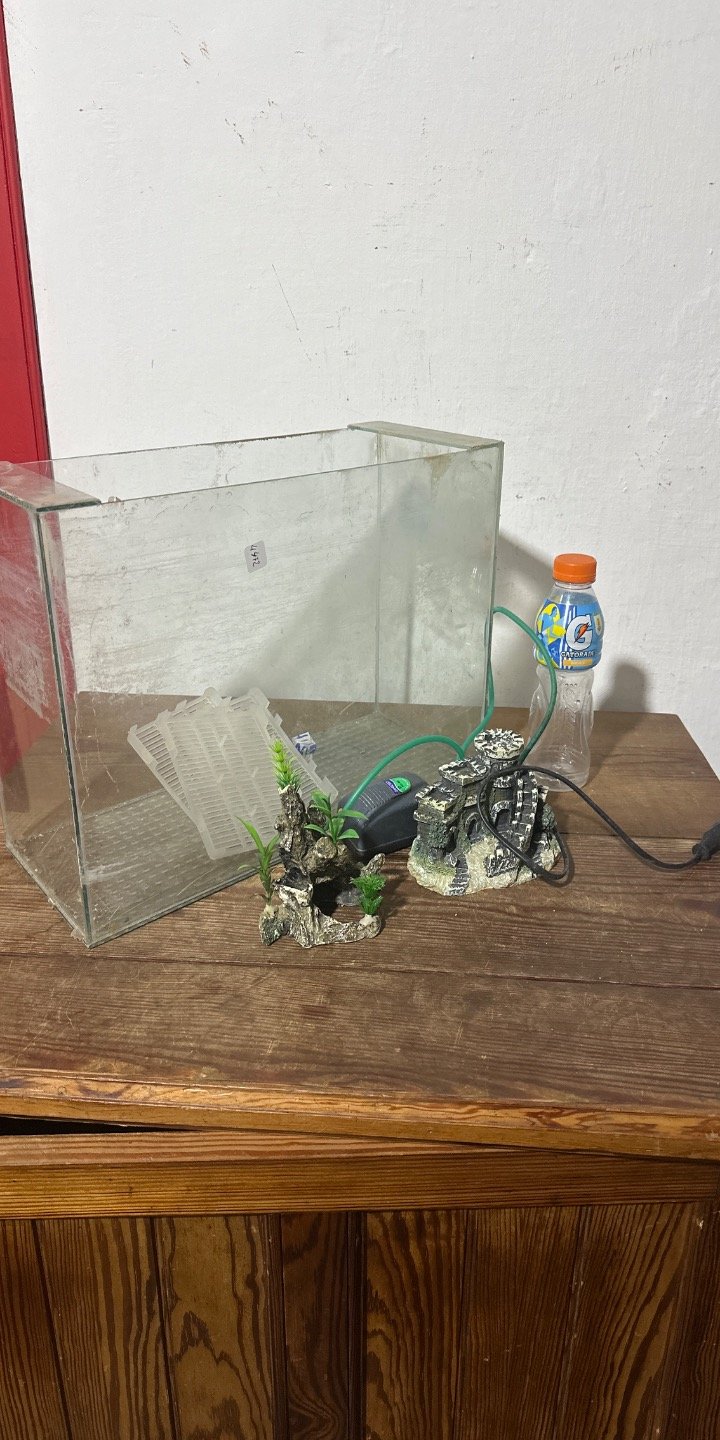 Item 62487 - Image 0