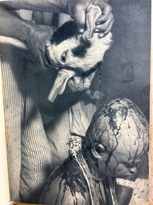 Libro de arte y cultura afrobrasileña Candomblé de José Medeiros - imagen 4