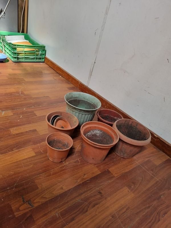 Item 854611 - Image 1