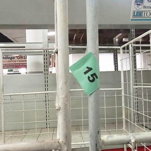 Exhibidor de Rejilla Blanco con Estructura de Pie - imagen 3
