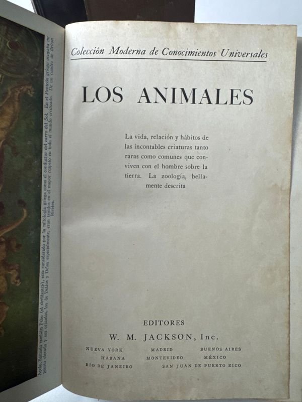 Libros de educación y arte para niños - imagen 3