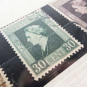 Serie Completa de Estampillas de Países Bajos 1944: Reina Guillermina (Nº 418-428) - imagen 2