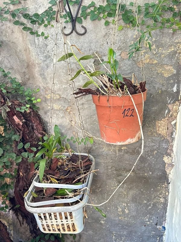 Item 892378 - Image 1