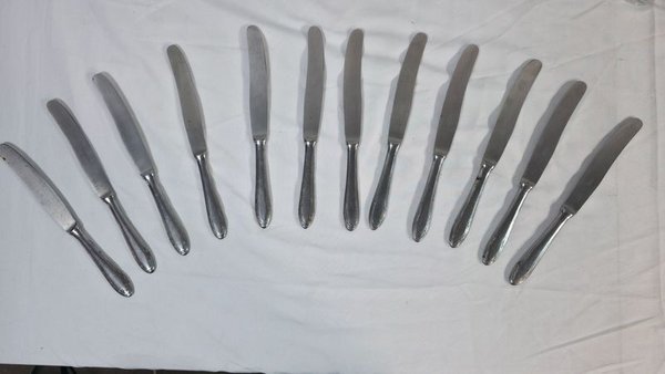 Juego de 12 Cuchillos de Acero Inoxidable - imagen 1