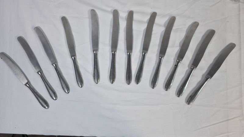 Juego de 12 Cuchillos de Acero Inoxidable
