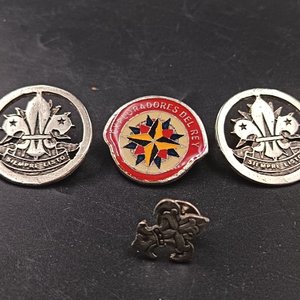 Lote de Insignias y Pines Boy Scouts - imagen 3