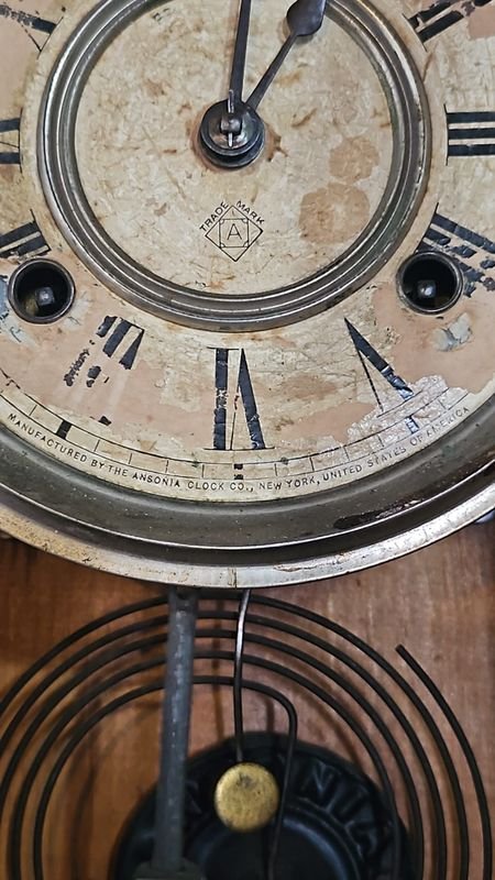 Reloj Ansonia en roble - Relojes antiguos de alta calidad - imagen 6