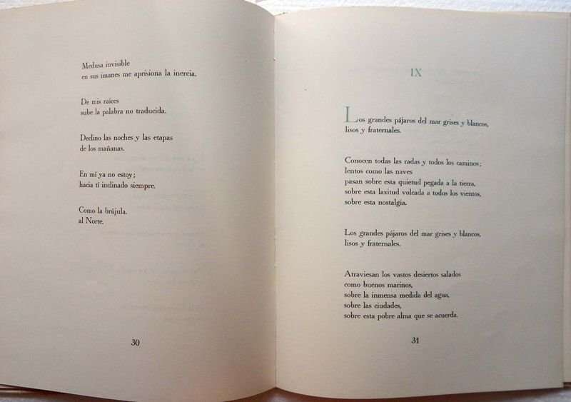 Libro de Poemas firmado por Gilberto Caetano Fabregat - imagen 6