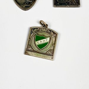 Lote de Doce Medallas Distintivas de Colección - imagen 4