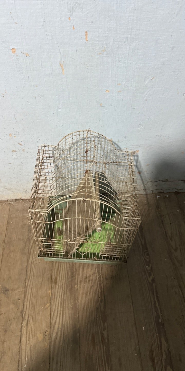 Jaula metálica para pájaros