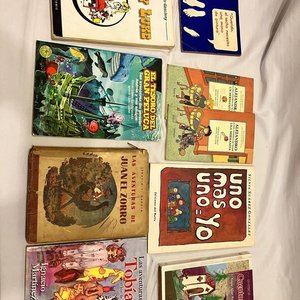 Lote Variado de Libros Infantiles, Juveniles y Cómics - imagen 3