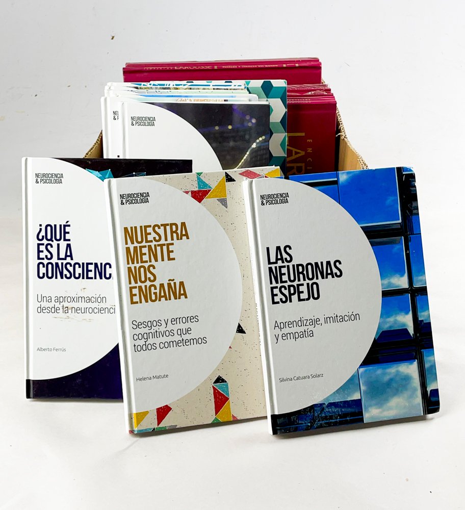 Lote anterior: Colección de libros de psicología en excelente estado