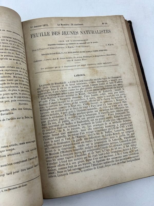 Item 924180 - Image 2