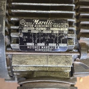 Motor Eléctrico Trifásico Marelli con Polea - imagen 7