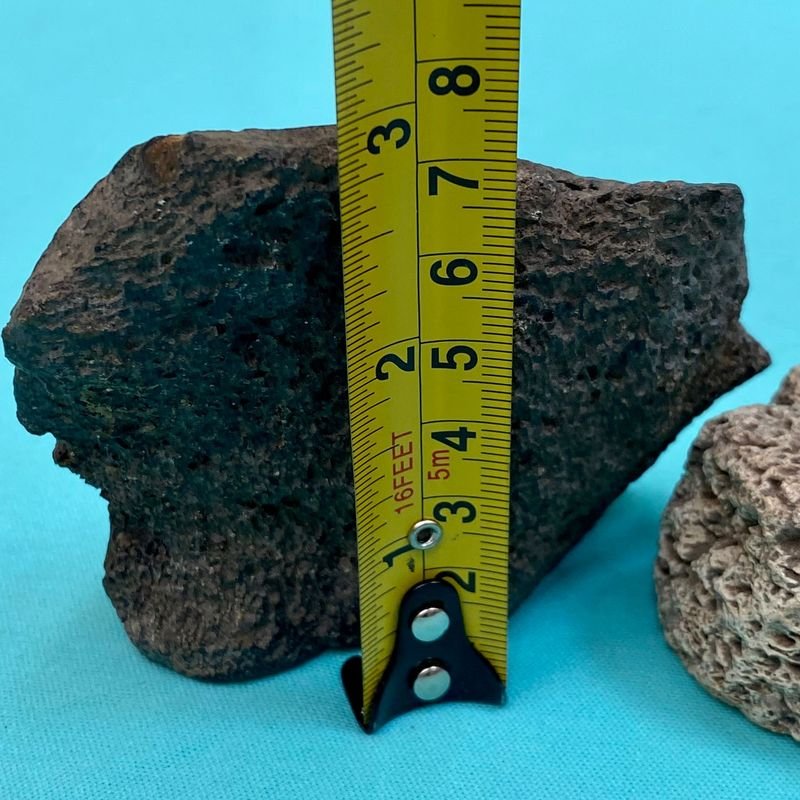 Item 895830 - Image 5