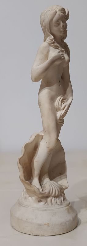 Item 863794 - Image 1