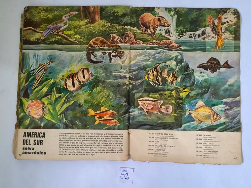 Item 844753 - Image 18