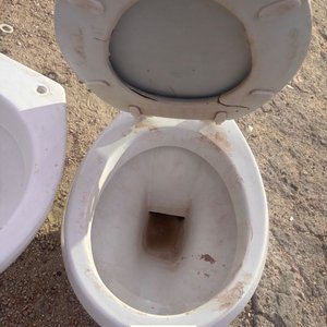 Dos Inodoros Blancos con Tapa Decorada - imagen 4