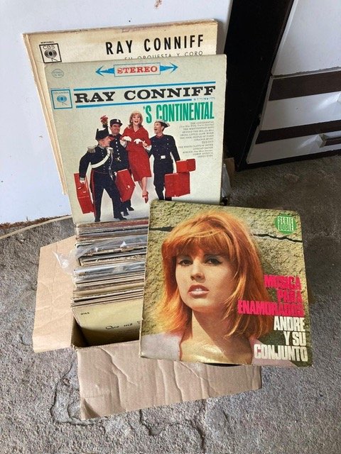 Lote siguiente: Colección de discos de vinilo en buen estado