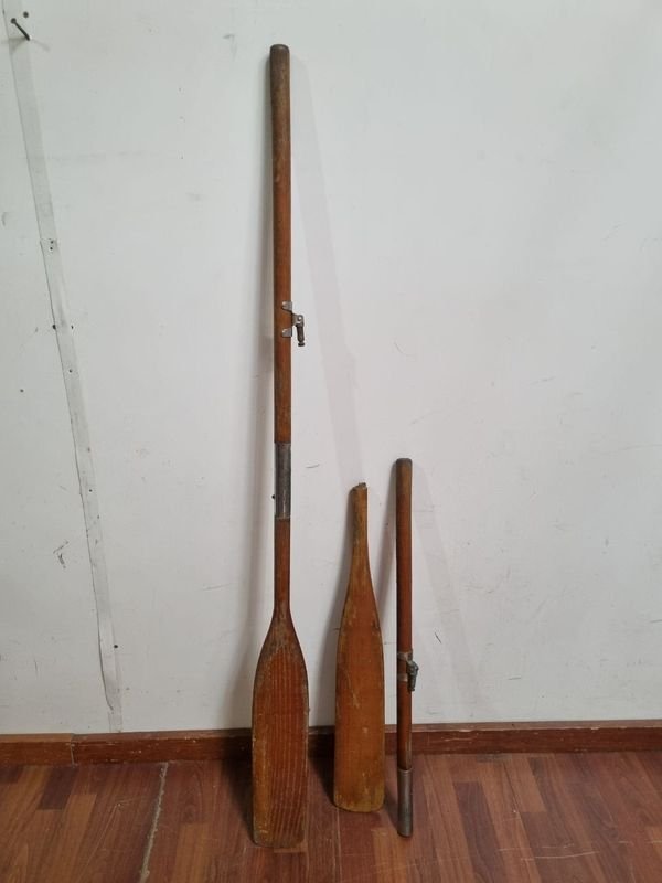 Remos antiguos en roble para deportes - imagen 5