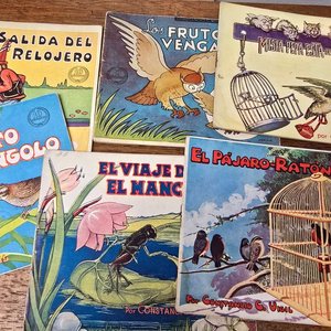 Selección de Novelas y Cuentos Infantiles Clásicos - imagen 5