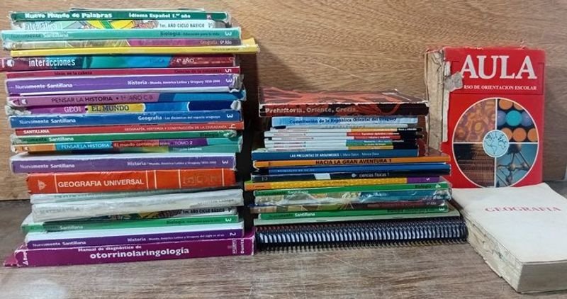 Lote siguiente: Lotes de Textos de Estudio Actuales para la Educación