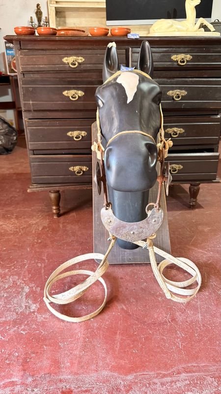 Caballo de Cabeza con Freno y Riendas - imagen 6