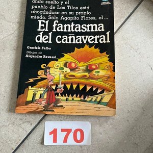 El Fantasma del Cañaveral de Graciela Falbo - Novela Infantil - imagen 2