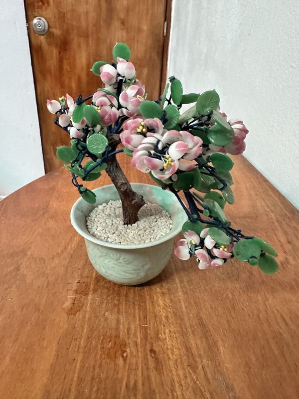 Árbol Bonsái en un Bol - imagen 5