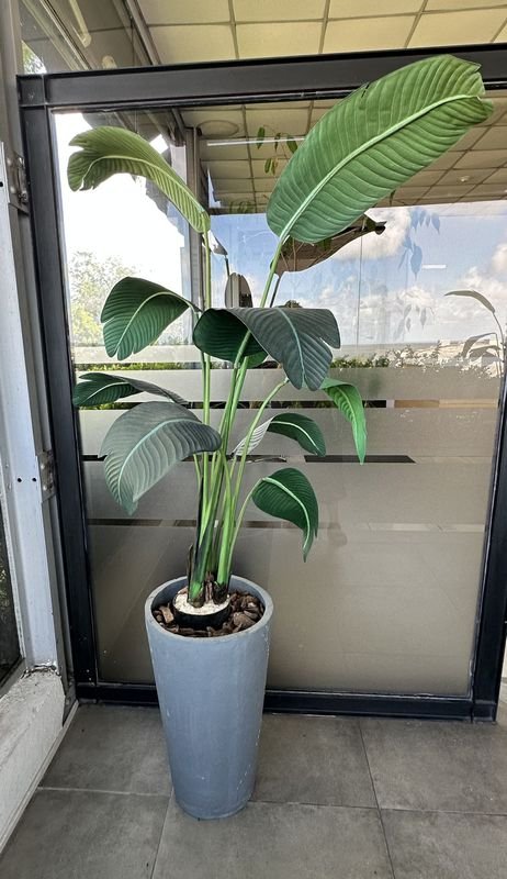 Item 904259 - Image 3