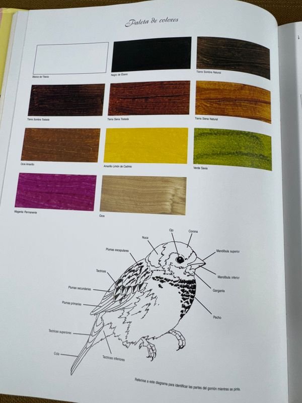 Colección de libros sobre decoración en español - imagen 14