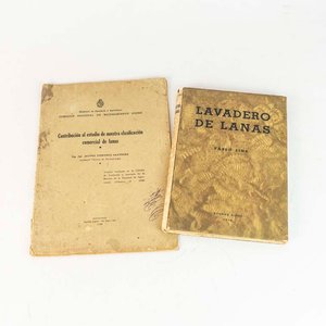 Lote anterior: Dos Libros sobre Lanas: Lavadero de Lanas y Clasificación Comercial
