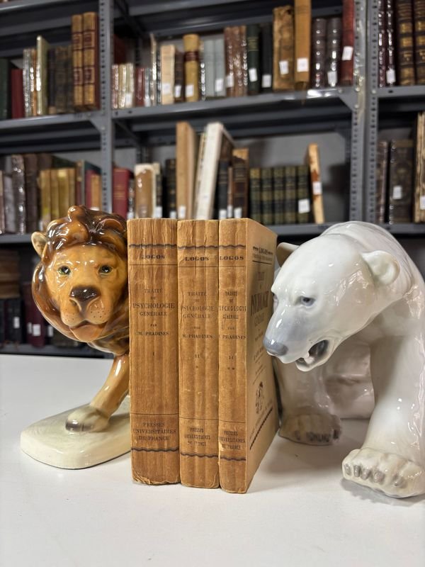 Item 879302 - Image 0