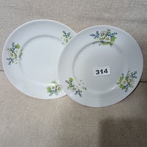 Lote siguiente: Par de Platos de Porcelana con Flores Azules y Amarillas