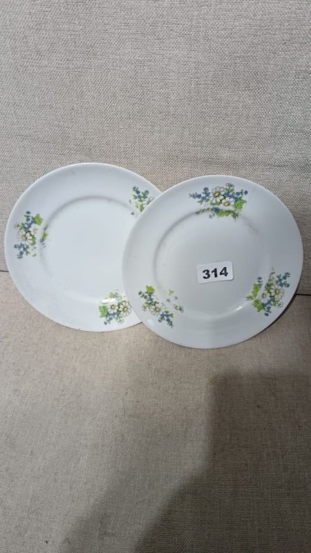 Par de Platos de Porcelana con Flores Azules y Amarillas