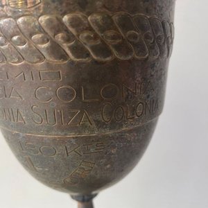 Medalla, Trofeo y Diploma de Luis Dassori, Ciclista Uruguayo - imagen 16