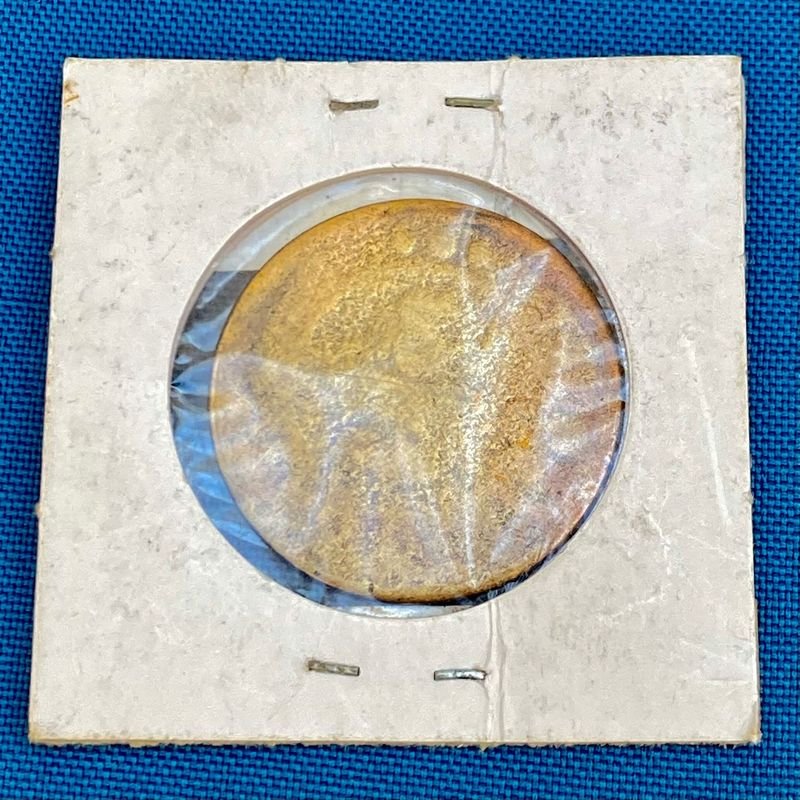 Item 877161 - Image 1