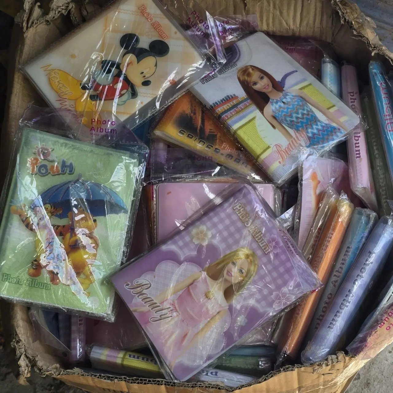 Lote siguiente: Colección de álbumes de fotos en buen estado