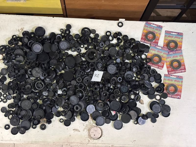 Lote de Gomas y Retenes para Freno y Embrague