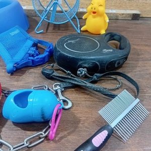Lote Variado de Accesorios para Mascotas: Comederos, Correas y Rueda - imagen 3