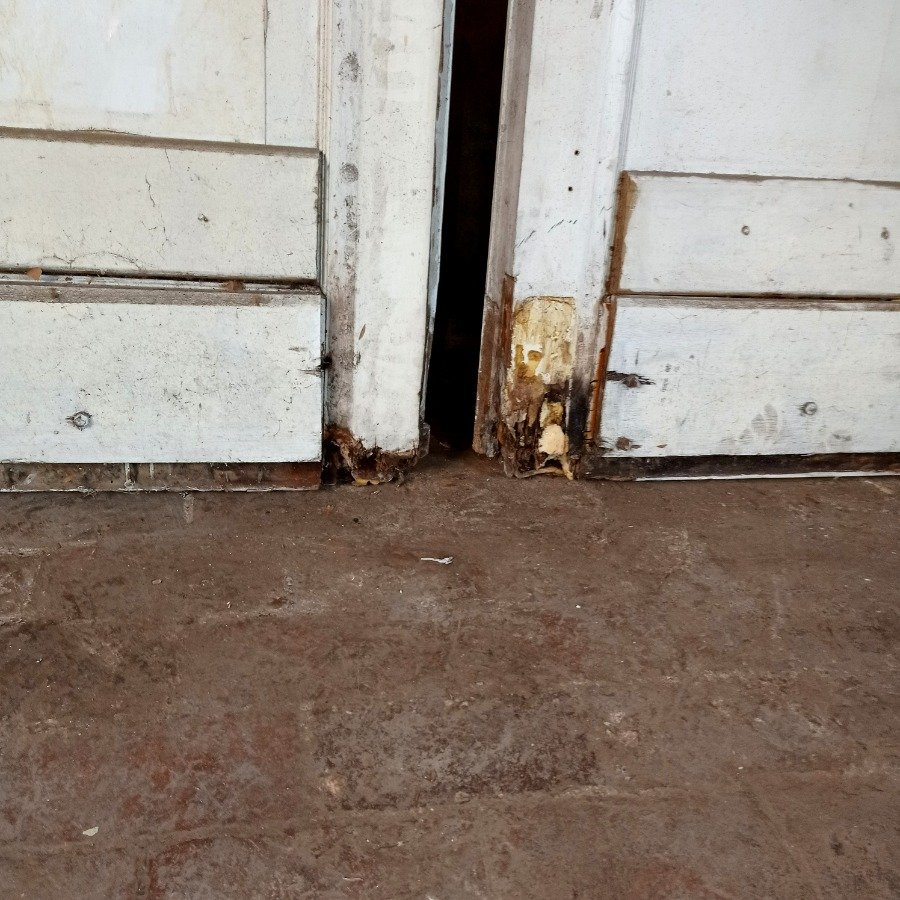 Puertas exteriores de tablero en cedro deterioradas - imagen 6