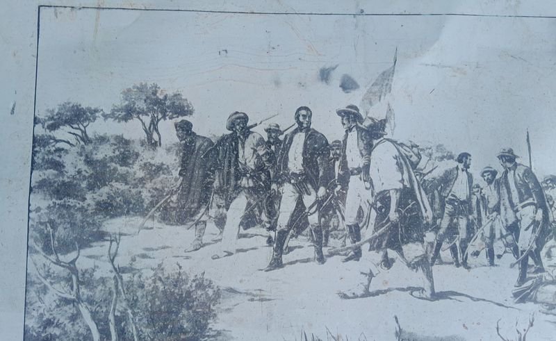 Item 868155 - Image 6