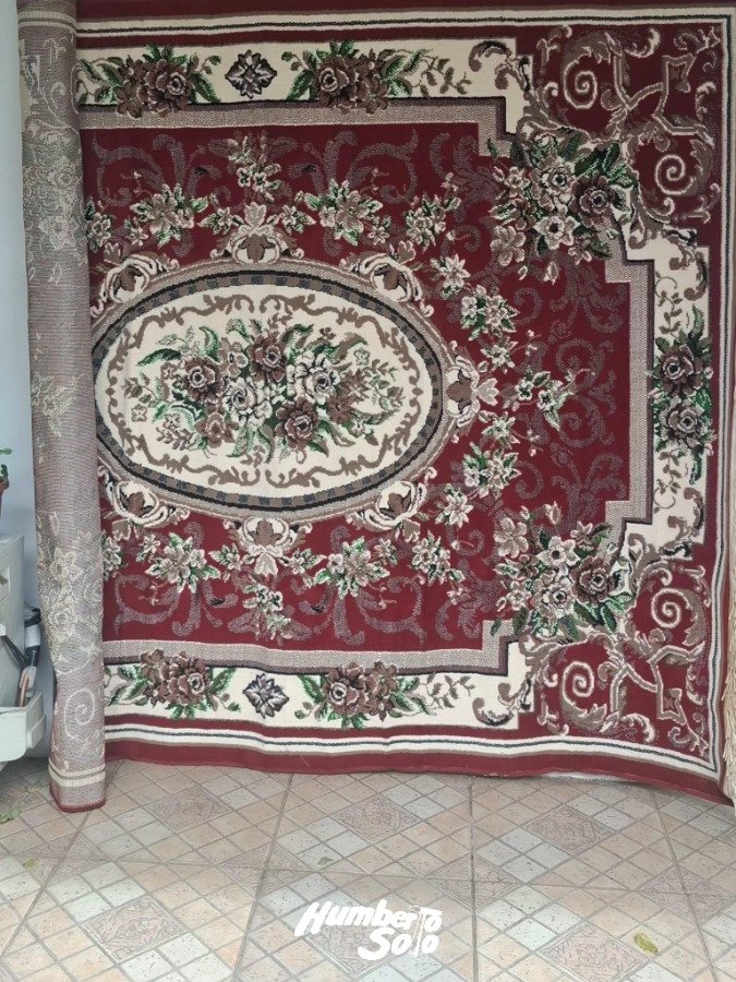 Hermosa alfombra estampada con diseños