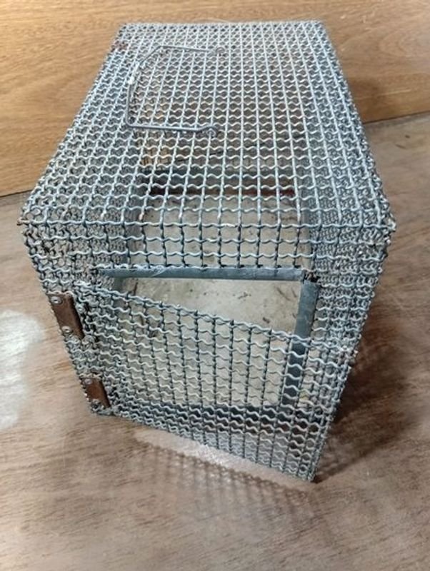 Jaula para gatos de alta calidad - imagen 6