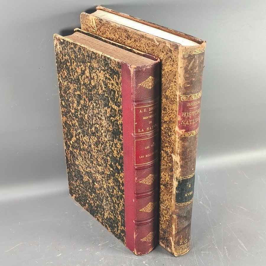 Libro antiguo de historia natural con encuadernación en cuero - imagen 2