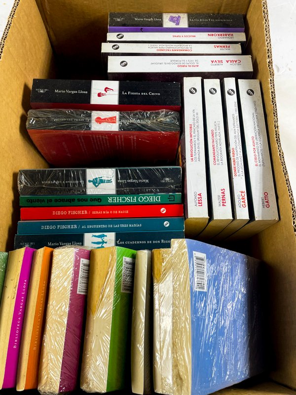 Lote de 23 Libros de Mario Vargas Llosa y Alfonso Lessa