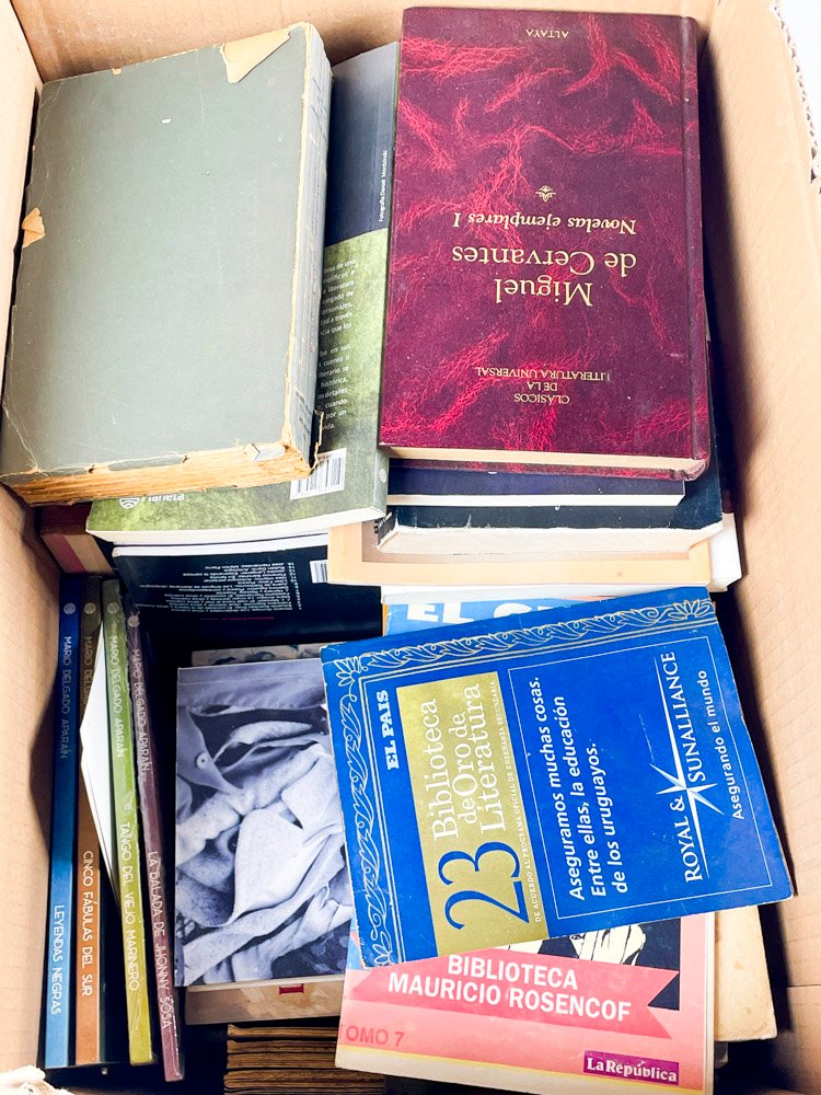 Colección de libros de Miguel Cervantes y Amores cimarrones - imagen 2