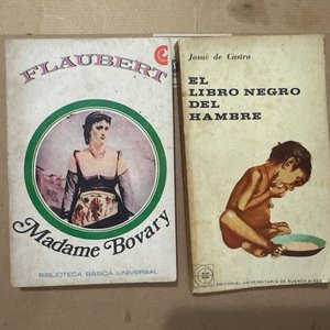 Lote siguiente: Lote de 2 Libros: Madame Bovary de Flaubert y El Libro Negro del Hambre de Josué de Castro