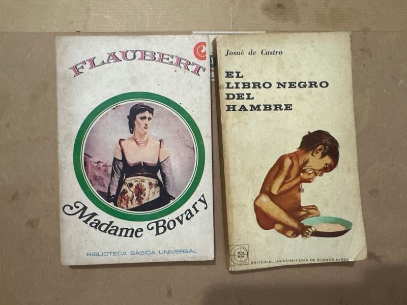 Lote de 2 Libros: Madame Bovary de Flaubert y El Libro Negro del Hambre de Josué de Castro