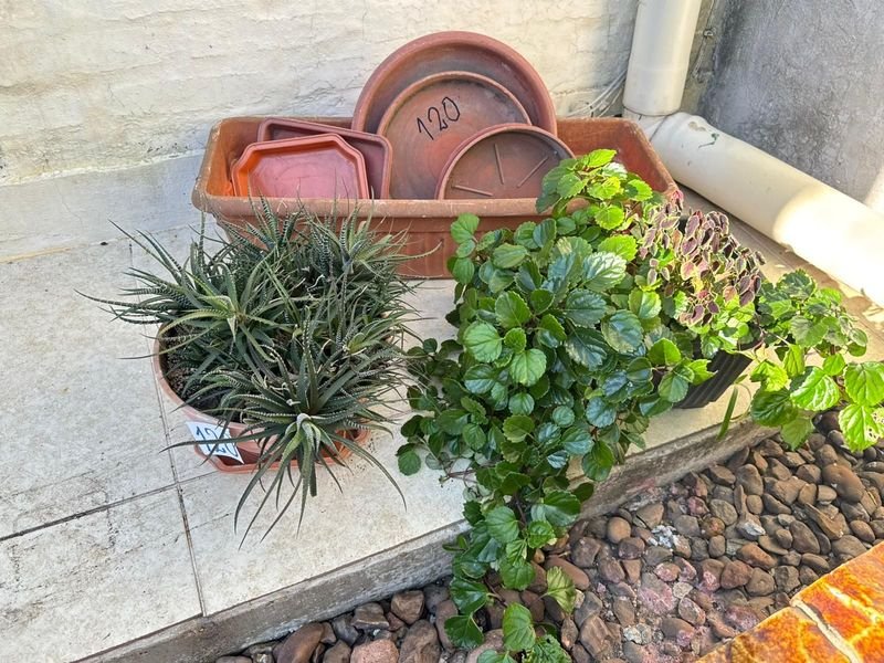 Item 892376 - Image 0